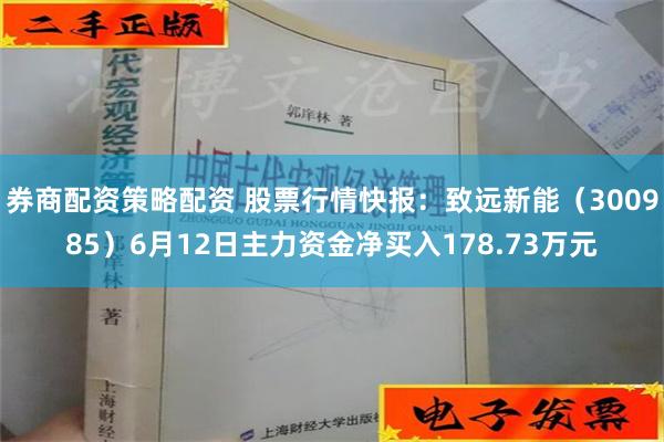 券商配资策略配资 股票行情快报：致远新能（300985）6月12日主力资金净买入178.73万元