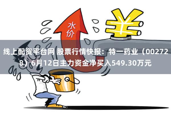 线上配资平台网 股票行情快报：特一药业（002728）6月12日主力资金净买入549.30万元