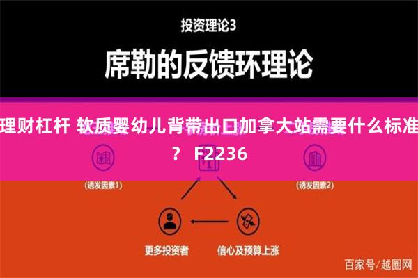 理财杠杆 软质婴幼儿背带出口加拿大站需要什么标准？ F2236