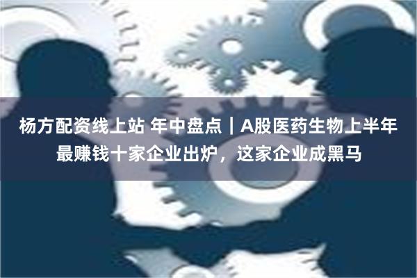 杨方配资线上站 年中盘点｜A股医药生物上半年最赚钱十家企业出炉，这家企业成黑马