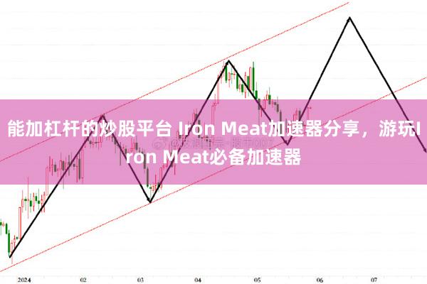 能加杠杆的炒股平台 Iron Meat加速器分享，游玩Iron Meat必备加速器