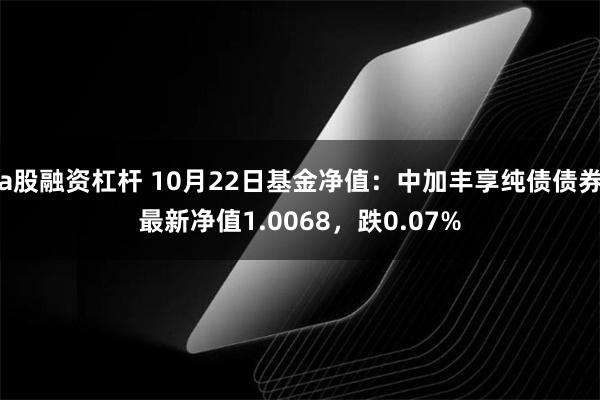 a股融资杠杆 10月22日基金净值：中加丰享纯债债券最新净值1.0068，跌0.07%