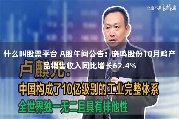 什么叫股票平台 A股午间公告：晓鸣股份10月鸡产品销售收入同比增长62.4%