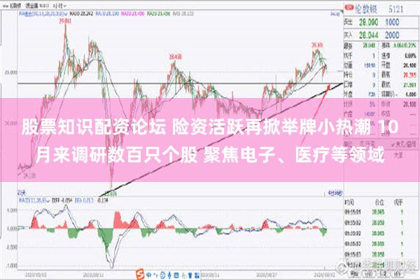 股票知识配资论坛 险资活跃再掀举牌小热潮 10月来调研数百只个股 聚焦电子、医疗等领域