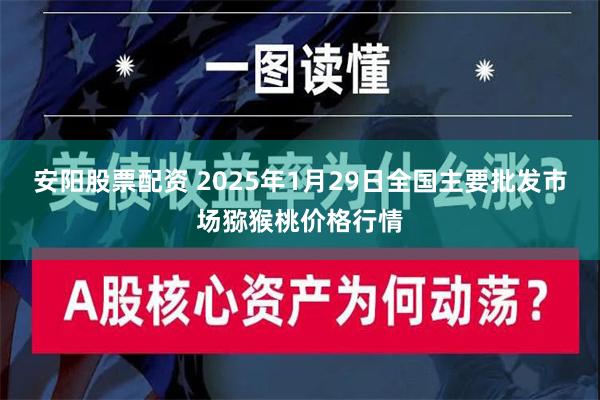 安阳股票配资 2025年1月29日全国主要批发市场猕猴桃价格行情